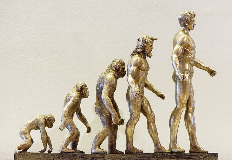 Future Evolution